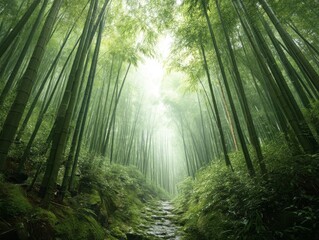 Fototapeta premium Lush bamboo forest with stone path and soft light evoking tranquility