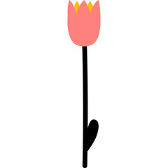 A single pink tulip flower with a yellow center and a green leaf on a long black stem isolated on a white background symbolizing spring growth and natural beauty