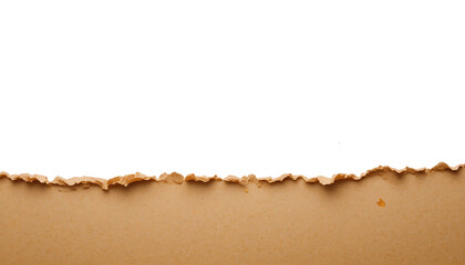 Ripped Brown Kraft Paper Edge Revealing White Background and Copy Space