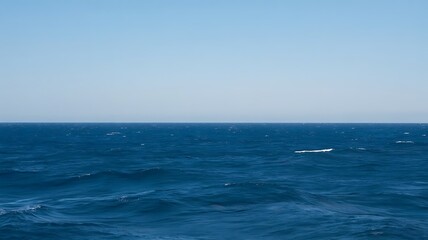 Vast blue ocean under a clear sky with gentle waves