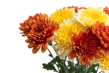 Vibrant bouquet of orange yellow and white chrysanthemums on a black background