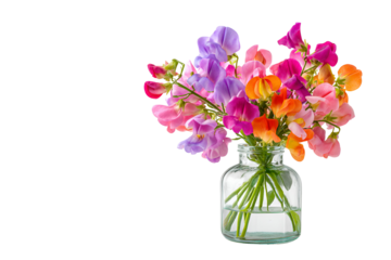 Vibrant bouquet of colorful sweet pea flowers in a clear glass vase against a black background