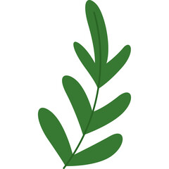 Cartoon Style Green Leafy Branch with Multiple Leaves on Transparent Background Vector Illustration