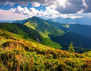 Sunny mountain range with wildflowers and fluffy clouds