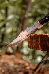 A vertical close-up of a rugged survival knife blade stuck in a log. Sunny forest setting with green bokeh. Warm, earthy tones emphasize outdoor utility and adventure gear