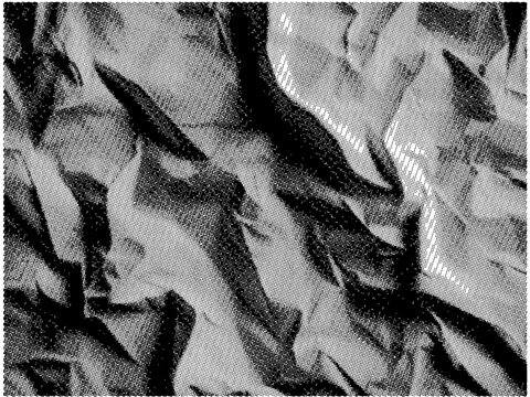 HALFTONE BACKGROUND_27