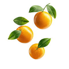 Three bright oranges with green leaves on a black background