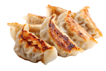 Crispy pan fried dumplings gyoza appetizer isolated on black background