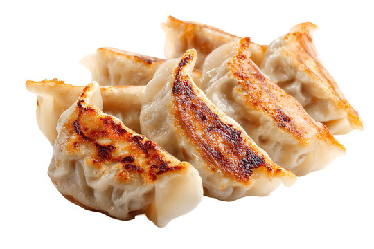 Crispy pan fried dumplings gyoza appetizer isolated on black background