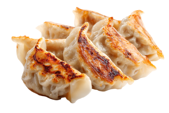Crispy pan fried dumplings gyoza appetizer isolated on black background