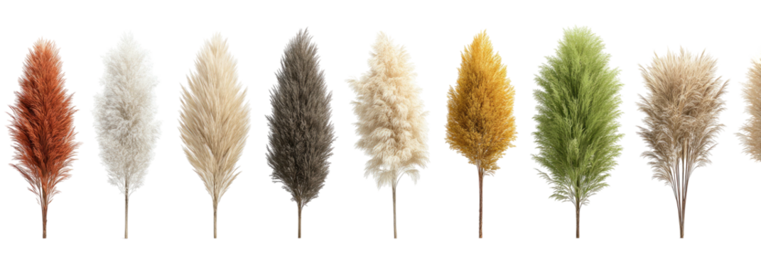 Assortment of fluffy, feathery plumes in various earth tones
