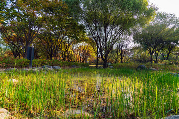서울 창포원의 가을은 아직 오지 않았다-도봉구, 서울 대한민국