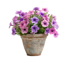 A terracotta pot overflowing with colorful pink and purple petunias