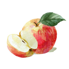 Vibrant watercolor illustration of a sliced apple with a green leaf