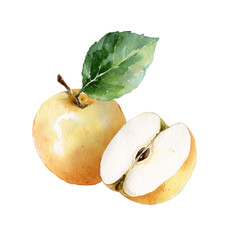 Watercolor illustration of a golden apple, whole and halved, with a leaf