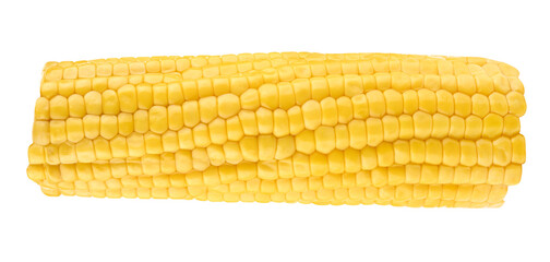 Boiled corn isolated on a transparent background. Full depth of field. PNG.
