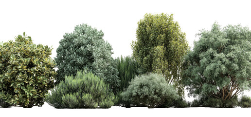 Diverse collection of trees and shrubs against a transparent background