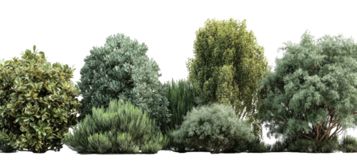 Diverse collection of trees and shrubs against a transparent background