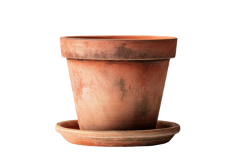 A rustic terracotta pot with a matching saucer sits against a black background