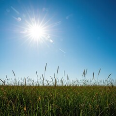 A vast natural vista bathed in brilliant sunshine, showcasing a serene outdoor environment under a clear blue sky ,outdoor ,open ,picturesque