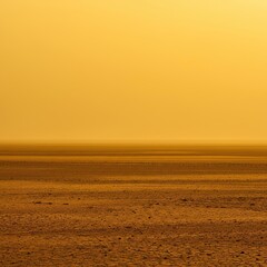 A vast, sun-baked, arid landscape stretches endlessly under a hazy, golden sky, conveying a sense of extreme warmth and desolation ,ochre ,desolate ,wilderness