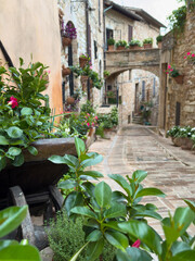 Naklejka premium beautiful view of an alley in Spello, a famous medieval village in Umbria renowned for its flower-lined streets