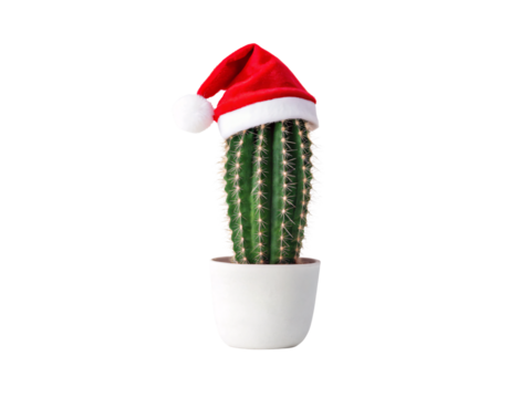 Cactus in white pot wearing Santa hat, festive desert plant with humorous Christmas theme, isolated on a transparent background