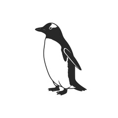 Obraz premium Stylized Black and White Graphic Penguin Illustration Standing Upright in Profile.