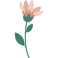 Delicate Pink Flower Stem With Green Leaves Isolated On White Background Simple Botanical Illustration In Flat Design Style