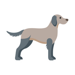Setter Dog Flat Icon Isolated On White Background.vector icon
