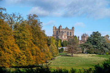 Fototapeta premium A beautiful autumn landscape at Wollaton Country and Deer Park in Nottingham, UK.