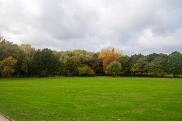 A beautiful landscape with trees in autumn color at Wollaton Country and Deer Park.
