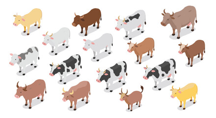 Isometric farm animals: diverse cow breeds in various colors on a white background