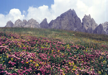Mountain landscape along the road to Gardena Pass, Dolomites, Italy