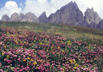 Mountain landscape along the road to Gardena Pass, Dolomites, Italy