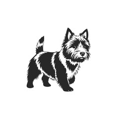 Obraz premium West Highland White Terrier Dog Vector Illustration.