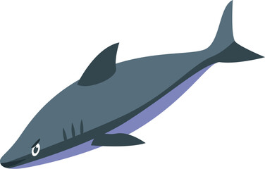 Gray reef shark swimming underwater in the blue ocean