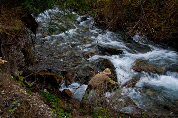 Person fishing with hat, back to camera, in turbulent mountain stream bubbling between rocks, scenic alpine nature and outdoor adventure
