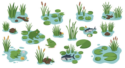 Playful frogs and tranquil pond elements in isometric style for nature designs