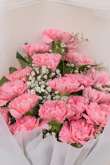 Close-up of Pink Carnation and White Gypsophila Flower Bouquet in Natural Light, Bright and Cheerful for Celebration or Happy Occasions