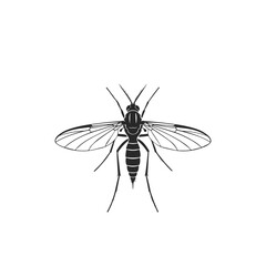 Silhouette of a Mosquito Insect.