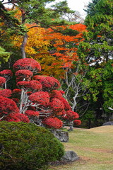 見晴公園の紅葉
