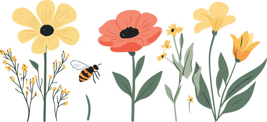 A colorful vector illustration of poppy flowers and leaves with a spring floral design pattern