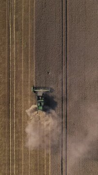Kombajn koszący pszenice