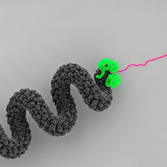 High Magnification TEM of Rhabdovirus Gene Expression Mechanism Focus on Viral RNA Synthesis