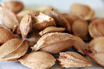 Top-view photo of apricot kernels arranged in a wooden bowl on a dark background. Ideal for food, organic produce, healthy lifestyle, and nutrition concepts