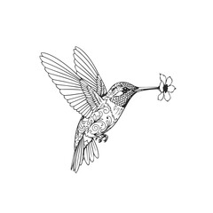 Obraz premium Ornate Hummingbird with Flower Illustration.