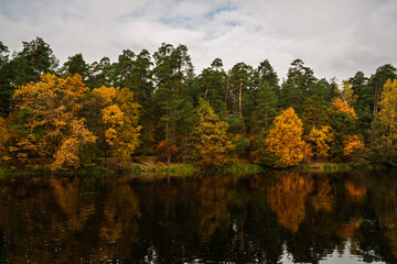 Fototapeta premium Autumn trees with colorful foliage reflected on tdark water surface of a lake. Scenic fall landscape for nature background.