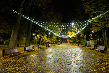 Autumn park alley at night with garlands and fallen yellow leaves on brick pavement. Outdoor autumn or Christmas decoration. City park.