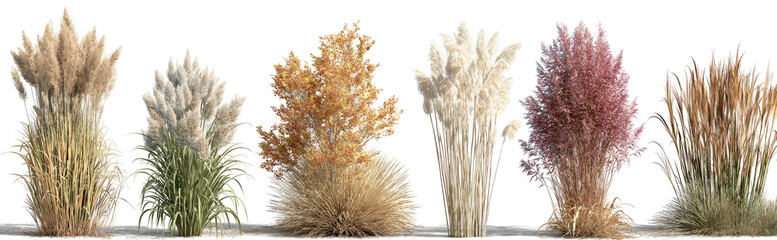 Six fluffy dried plant bouquets on a white surface